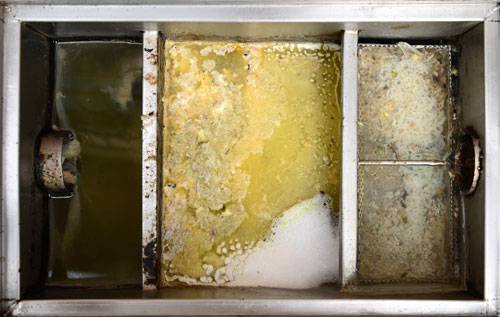 Grease Traps For Kitchens Restaurants